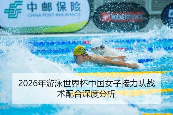 2026年游泳世界杯中国女子接力队战术配合深度分析