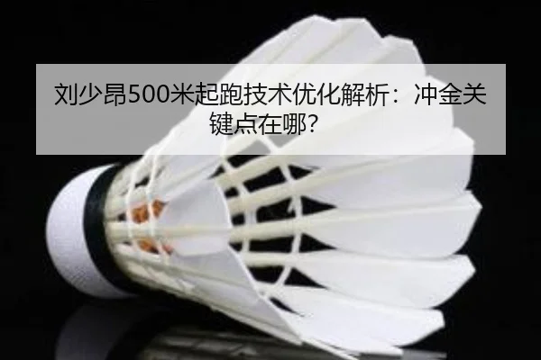 liu-shao-ang-mi-qi-pao-ji-shu-you-hua-jie-xi-chong-jin-guan-jian-dian-zai-na-2-557.jpg